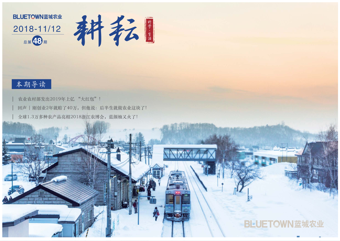 yp街机·电子游戏(中国)最新官网