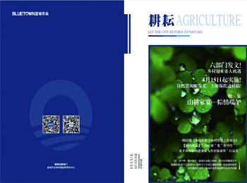 yp街机·电子游戏(中国)最新官网