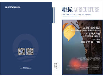 yp街机·电子游戏(中国)最新官网