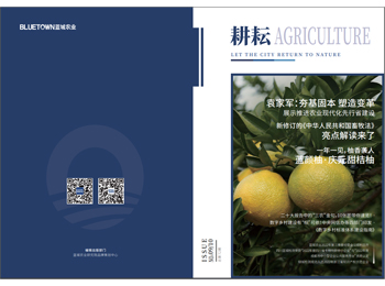 yp街机·电子游戏(中国)最新官网