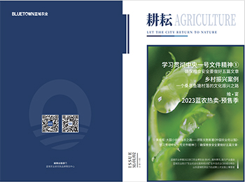 yp街机·电子游戏(中国)最新官网